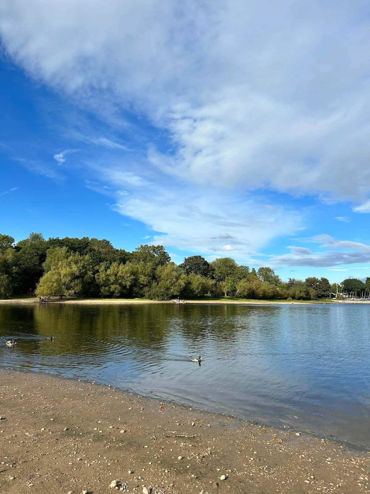Birmingham Settlement Nature & Wellbeing Centre - Ladywood
