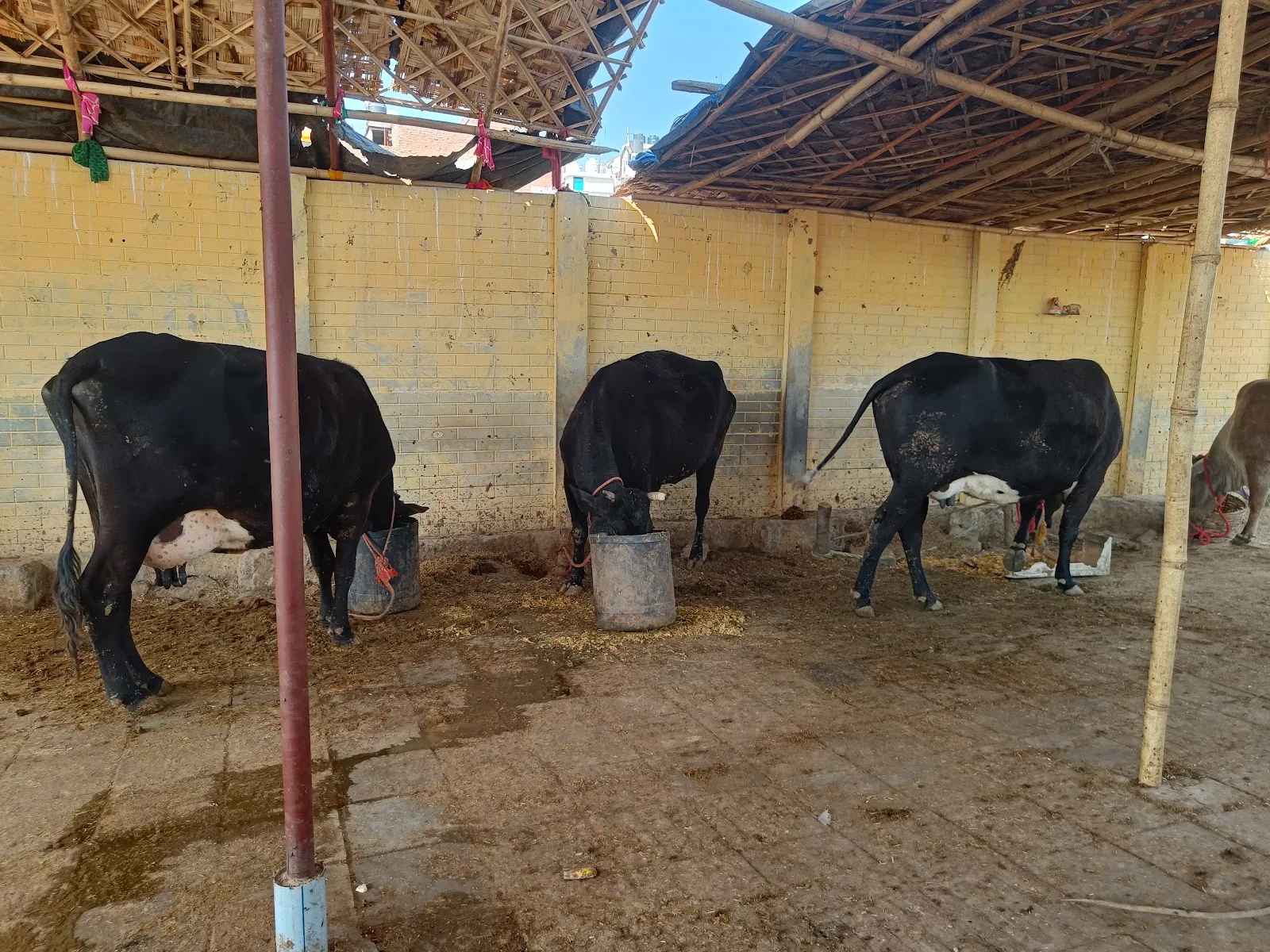 Kanha Gaushala Seva Samiti
