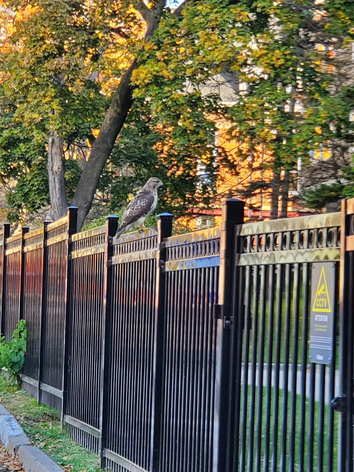 Fudger House Long-Term Care Home (City of Toronto)