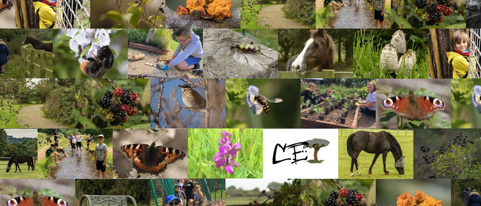 Community Environmental Trust