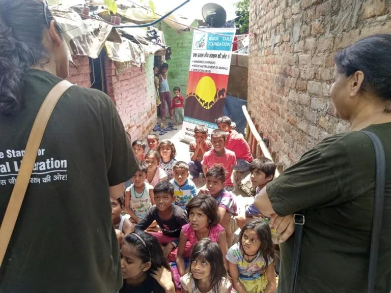 Wings and Tails Foundation| Animal NGO in Delhi