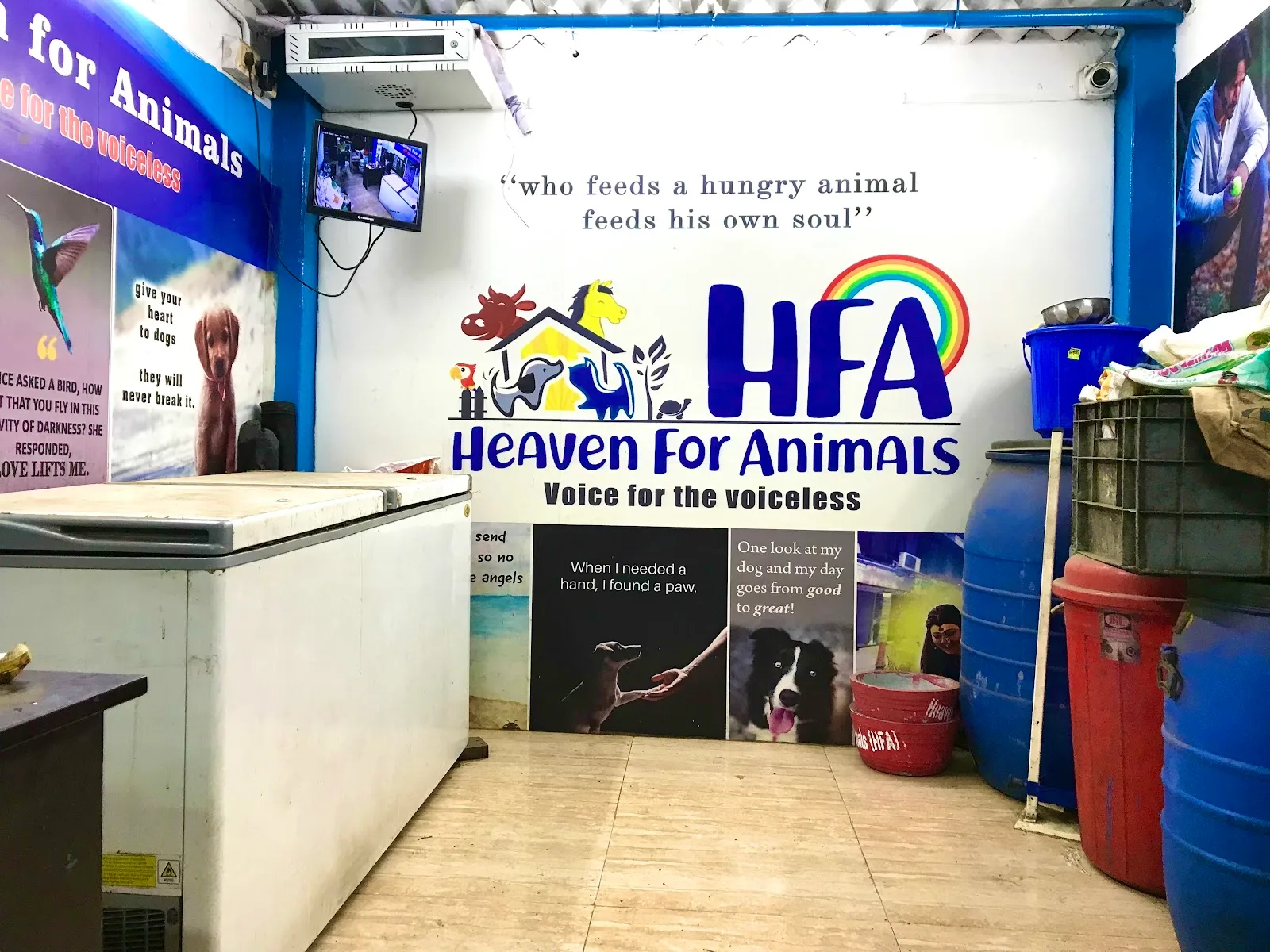 Heaven For Animals NGO office