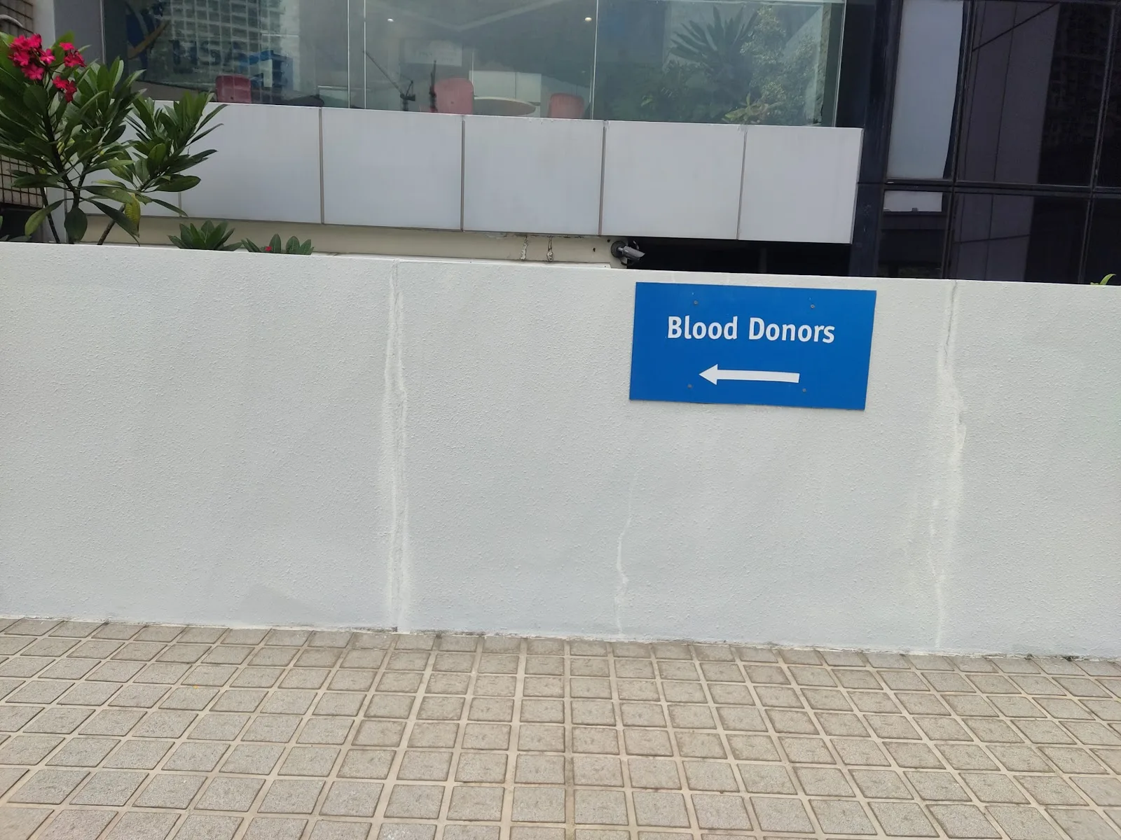 Health Sciences Authority
