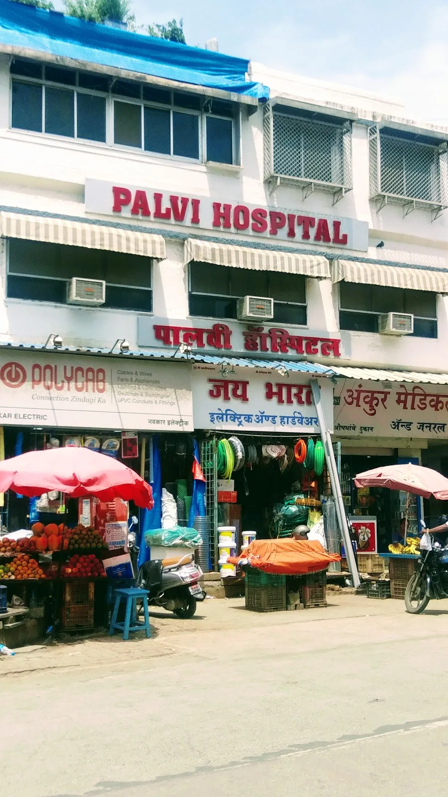 Palvi Hospital