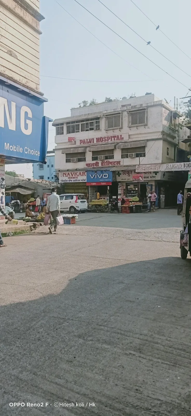 Palvi Hospital