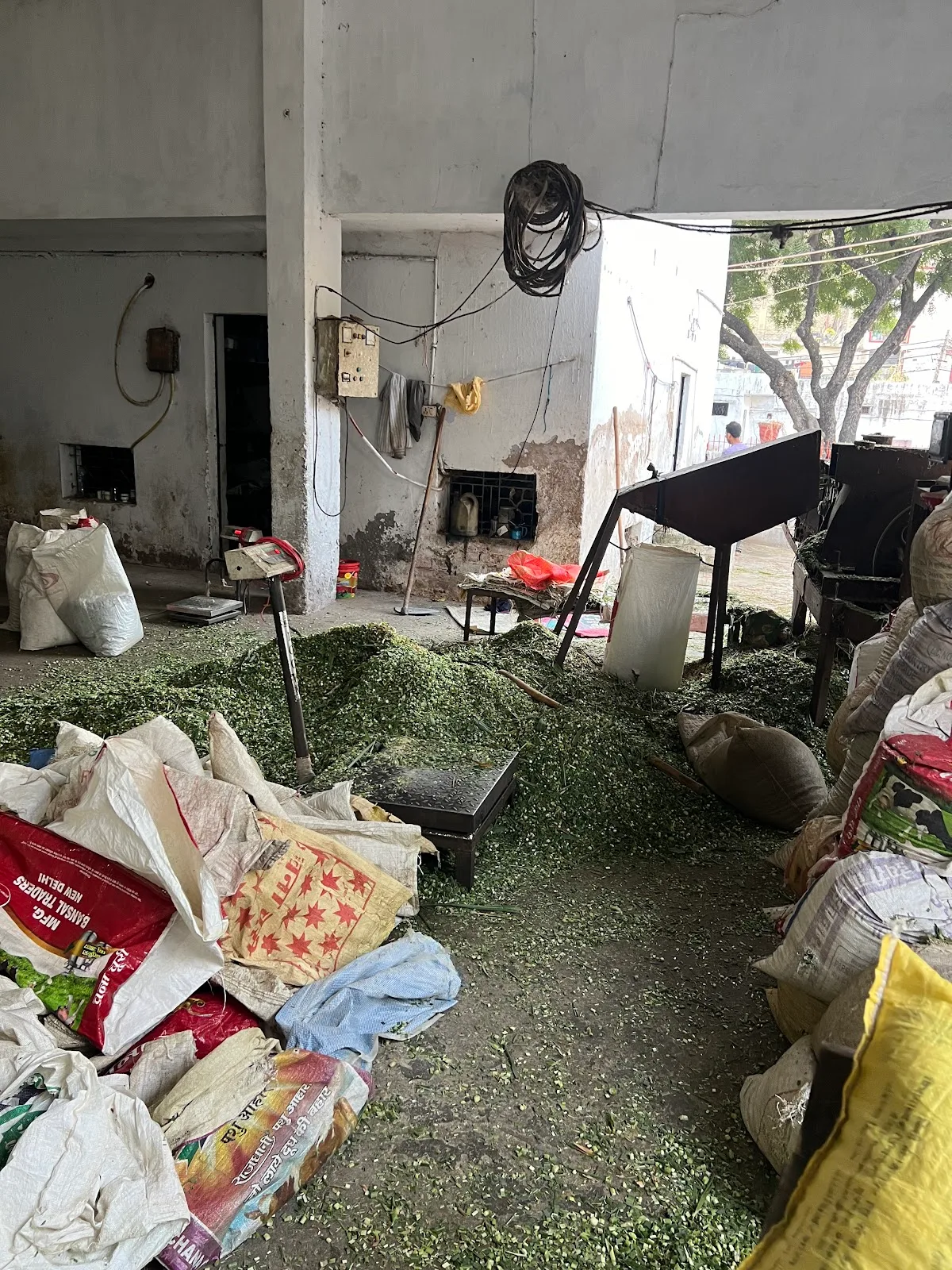Gaushala mehrauli dehat ( Ganga feed shop ) (Hara chara shop)