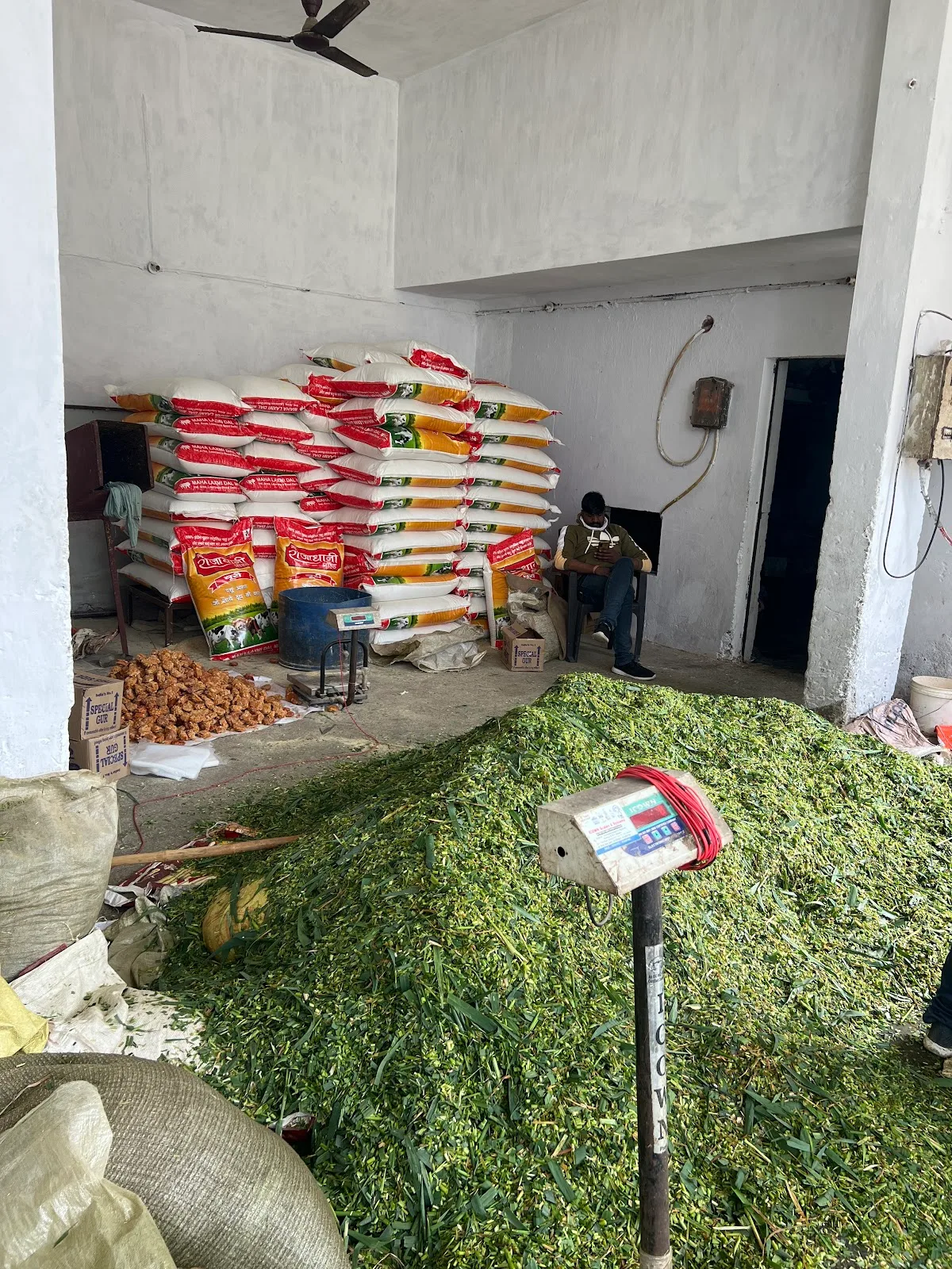 Gaushala mehrauli dehat ( Ganga feed shop ) (Hara chara shop)