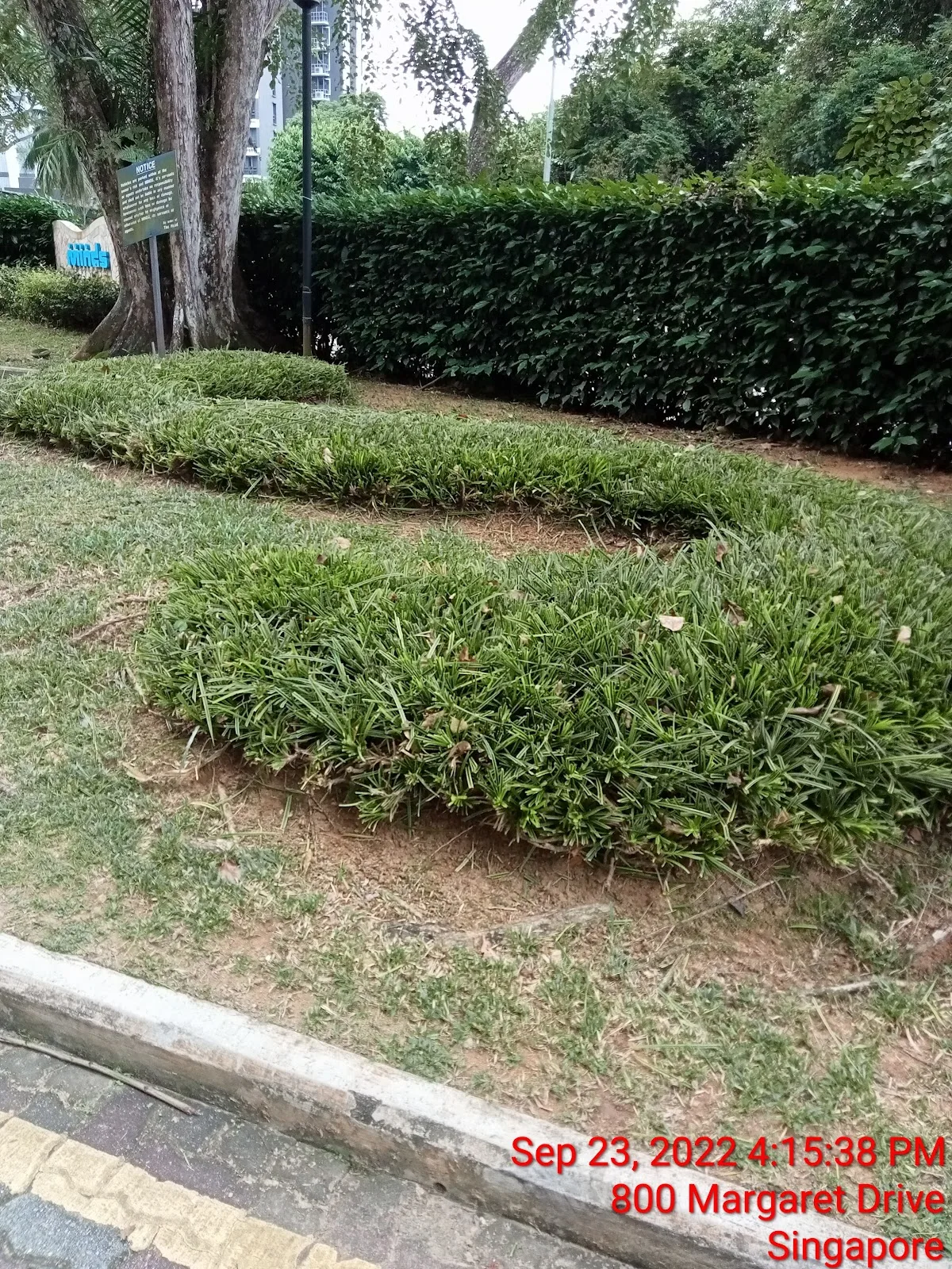 Lee Kong Chian Gardens School