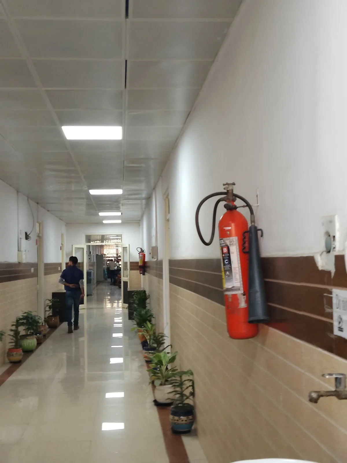 Central Health Education Bureau