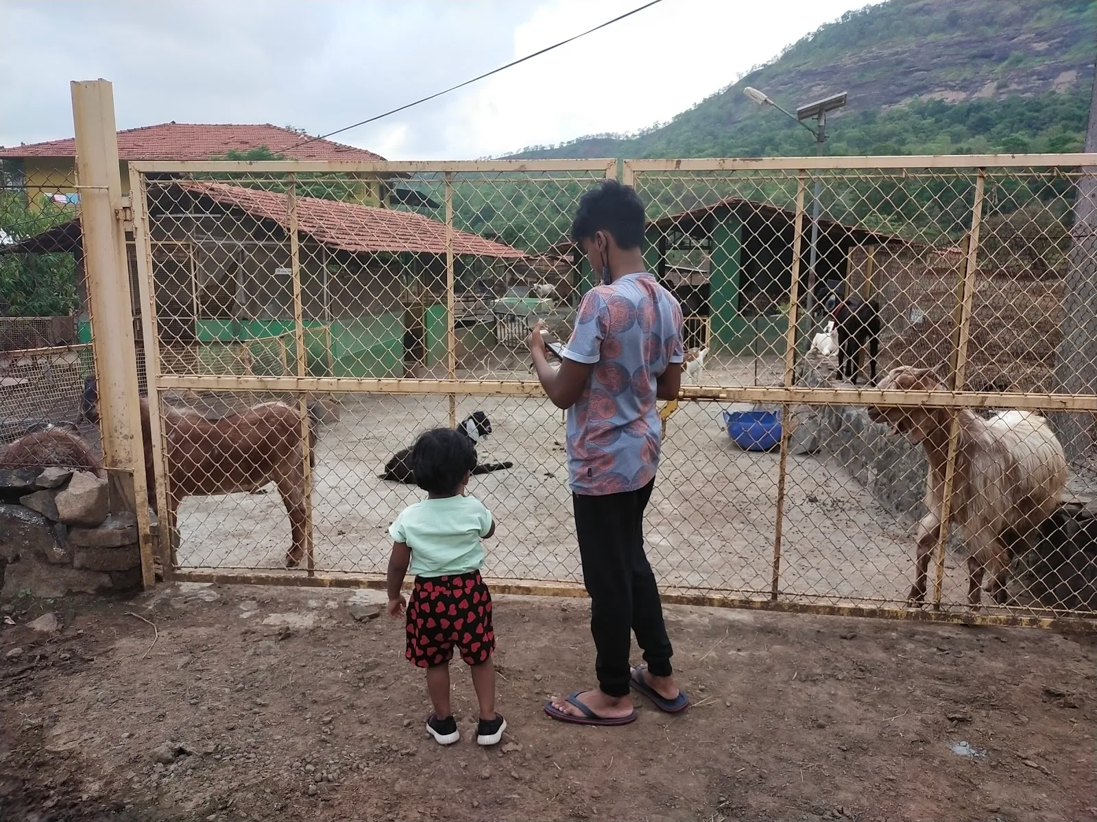 Kalote Animal Trust