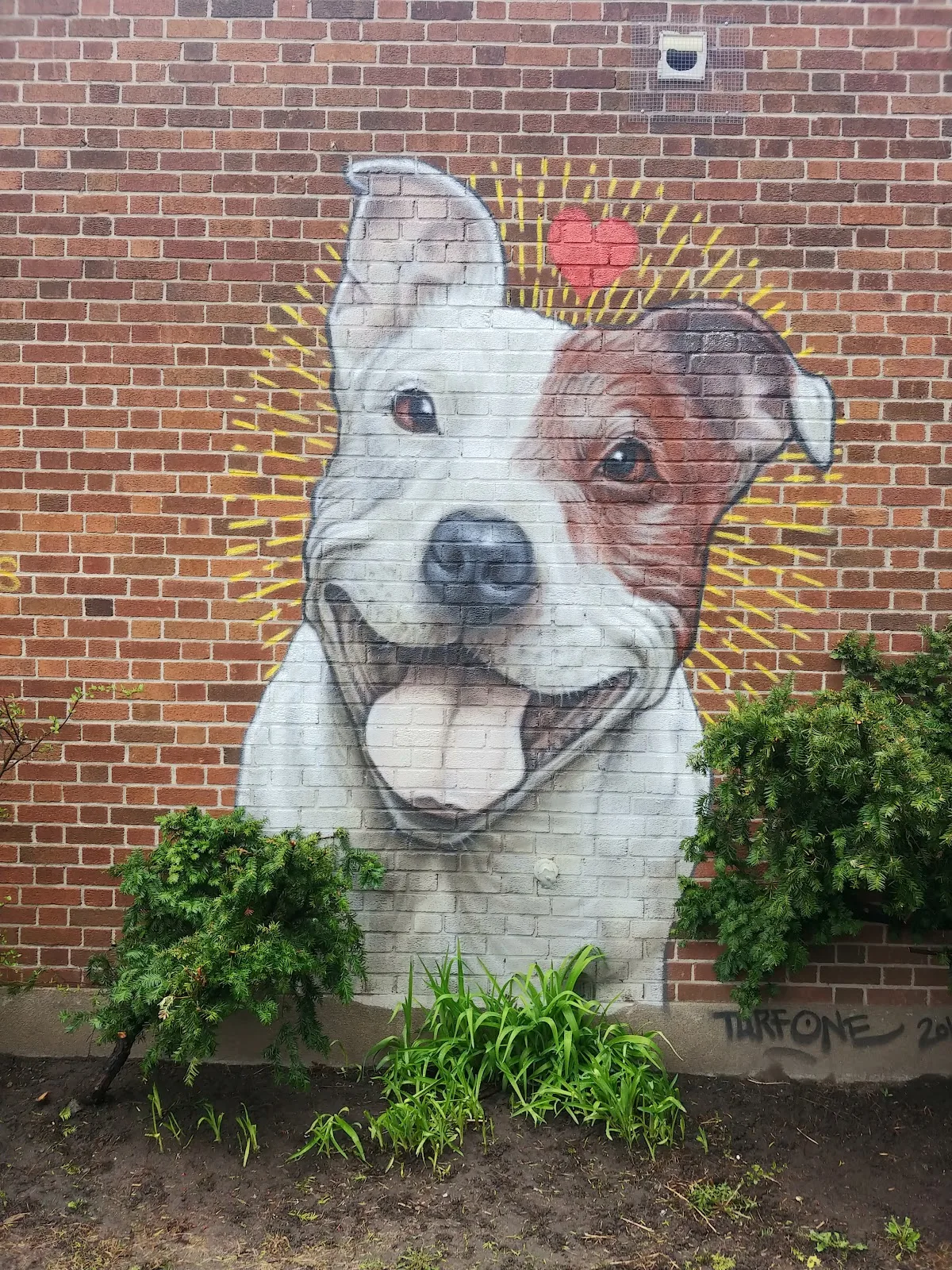 Montreal SPCA
