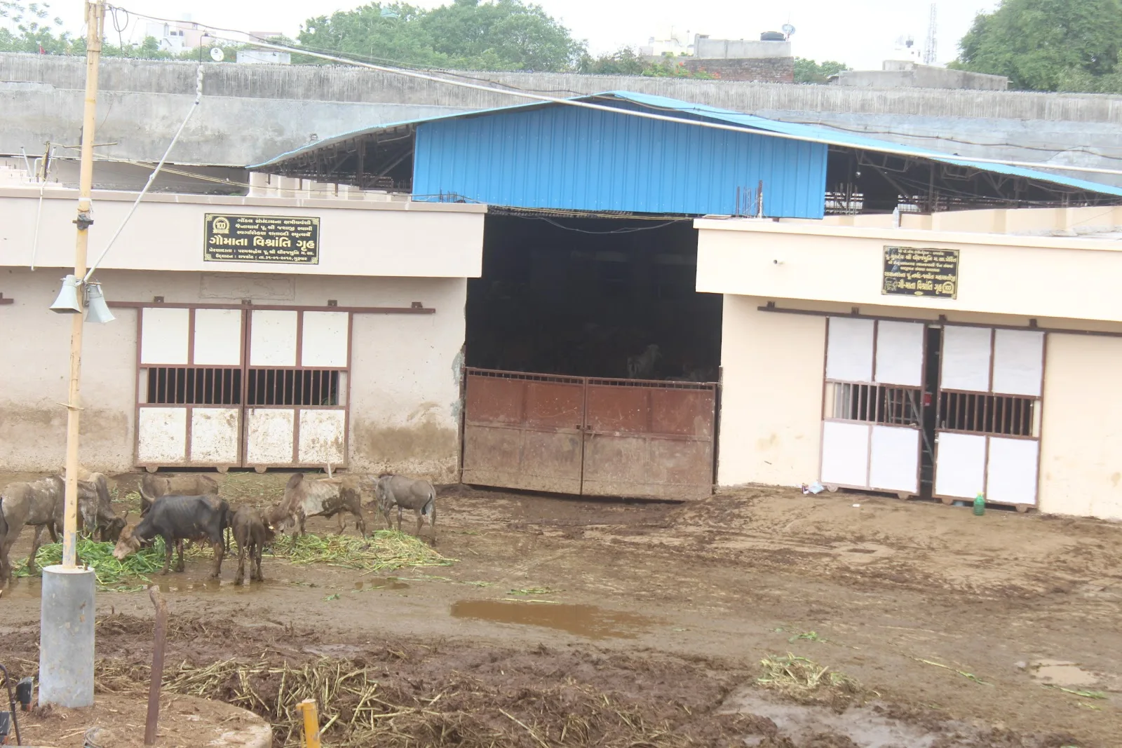 Rajkot Mahajan Panjrapole