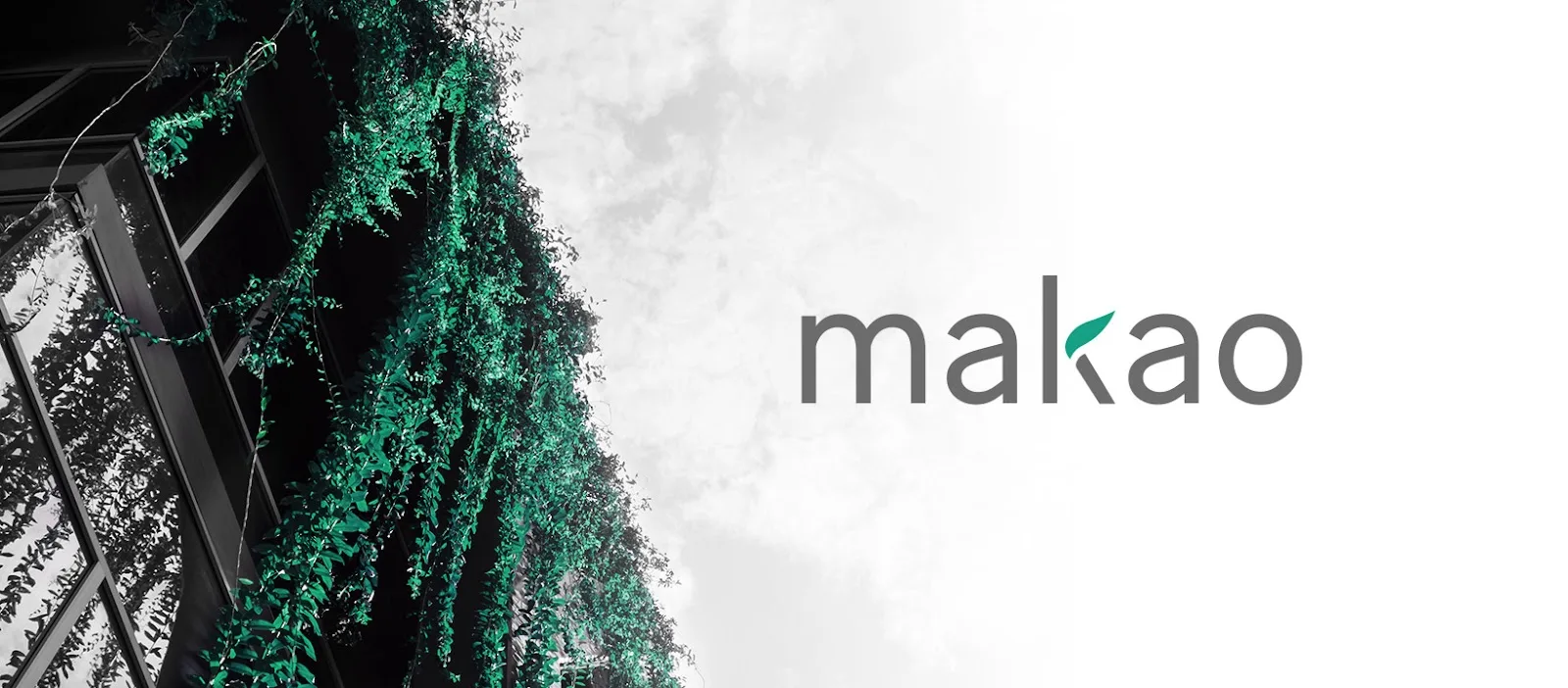 Makao Group