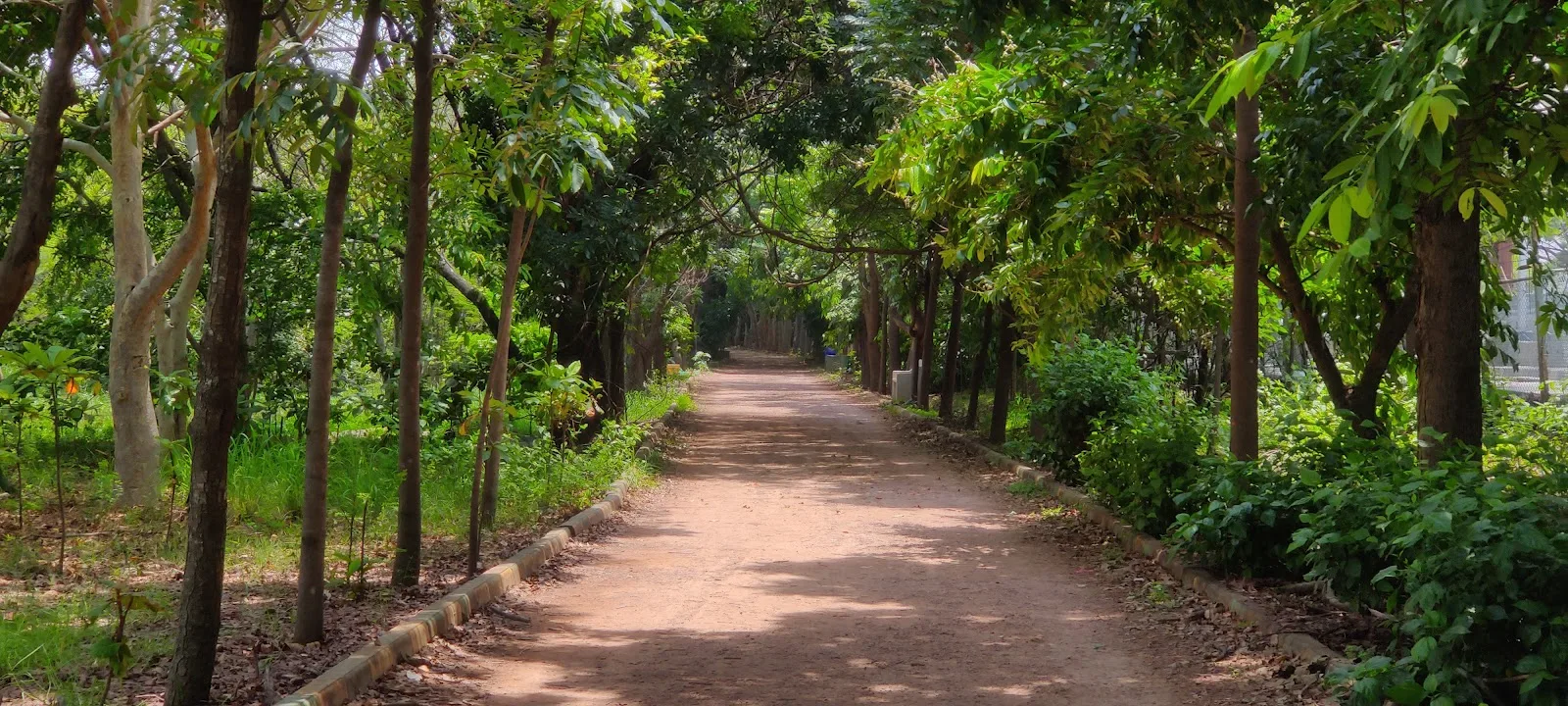 Shivajna Foundation
