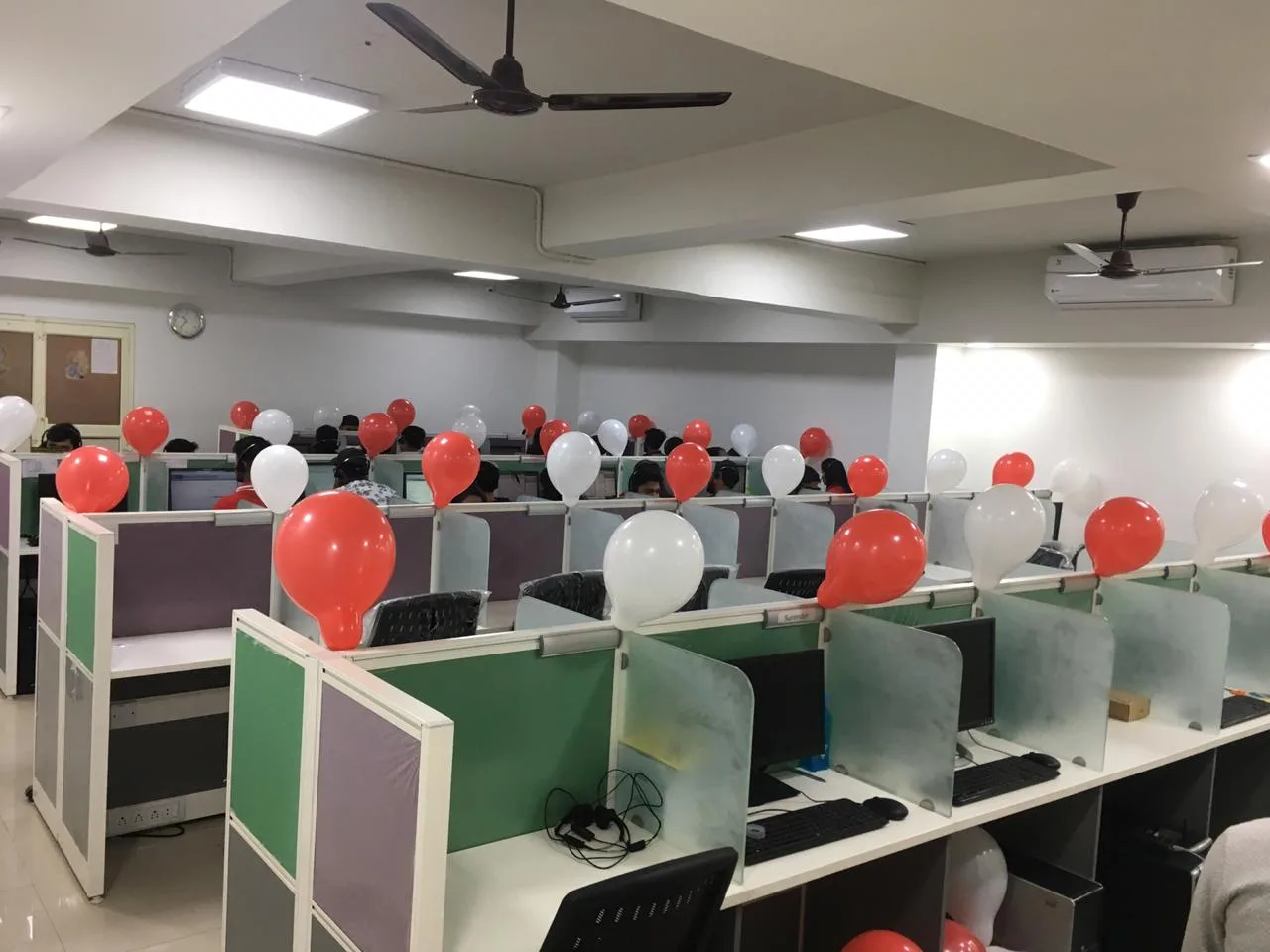 Elevate Bpo Services Pvt Ltd