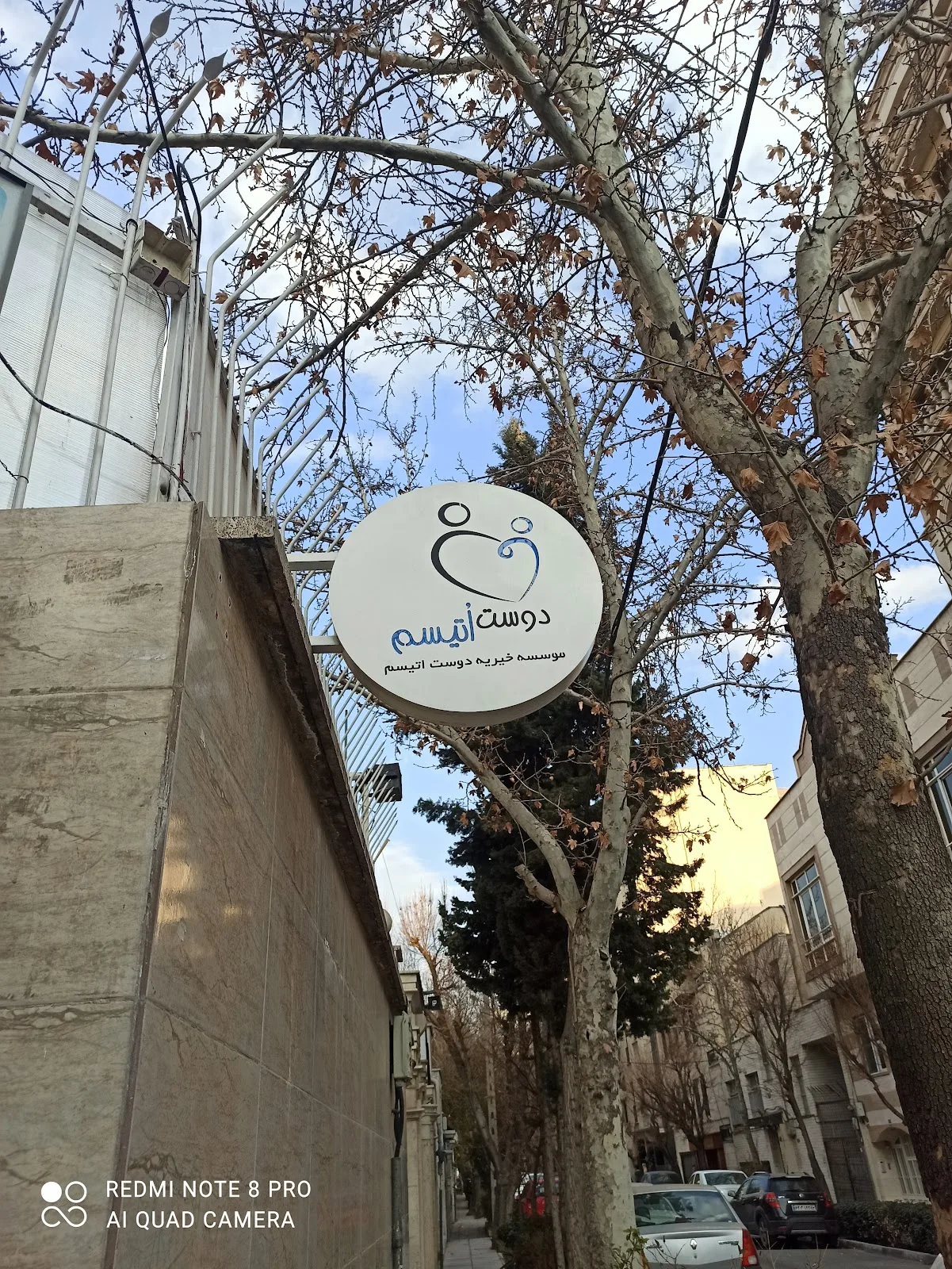 موسسه خیریه دوست اتیسم