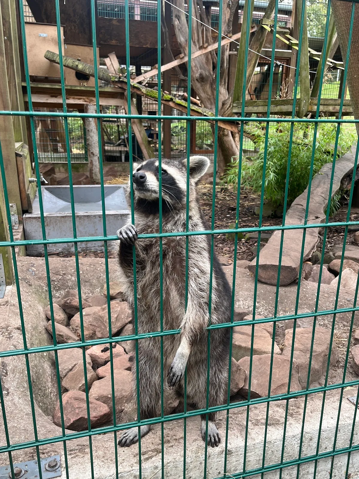 TIERART Wildtierstation