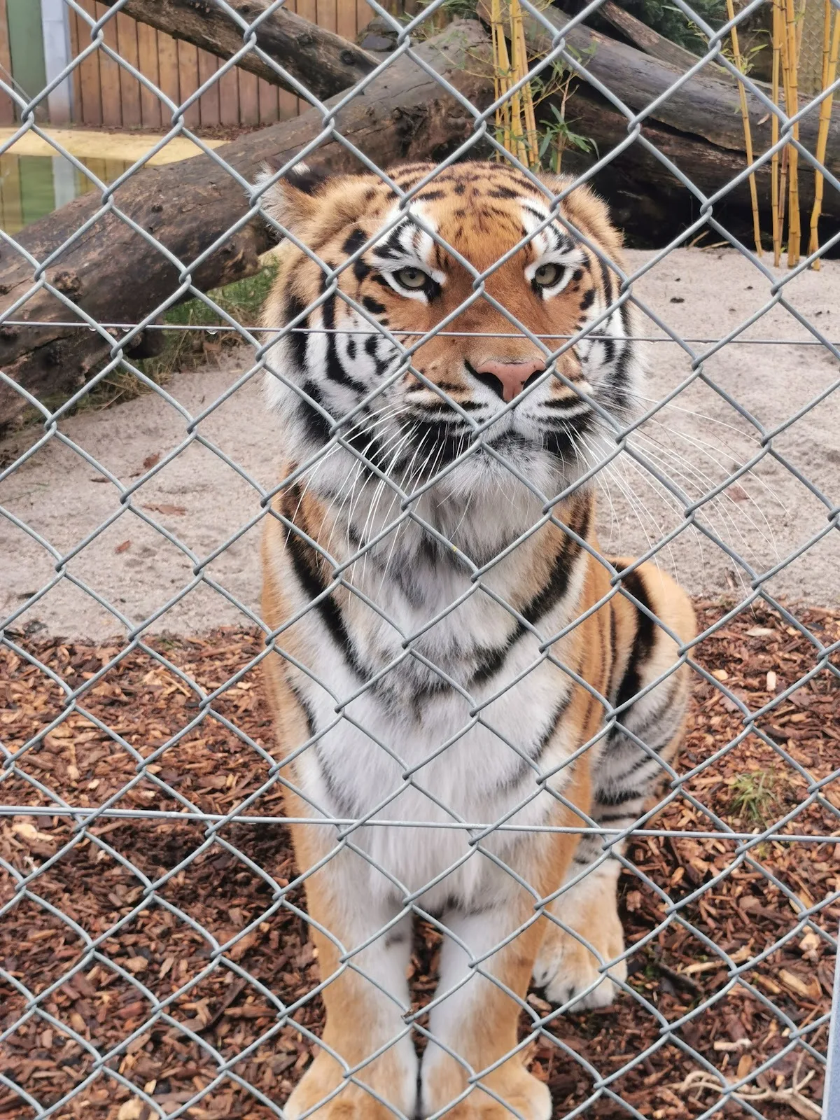 TIERART Wildtierstation