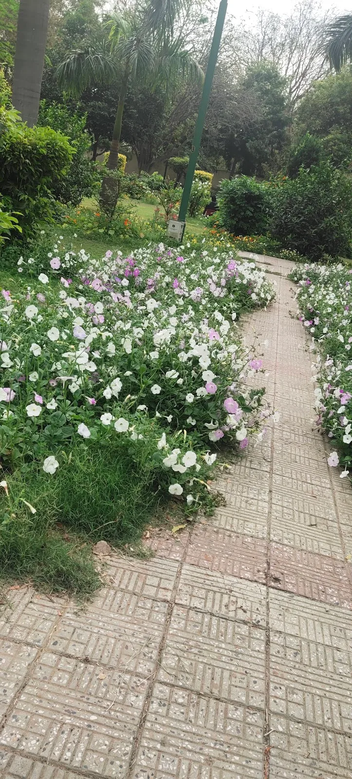 Tabela Park