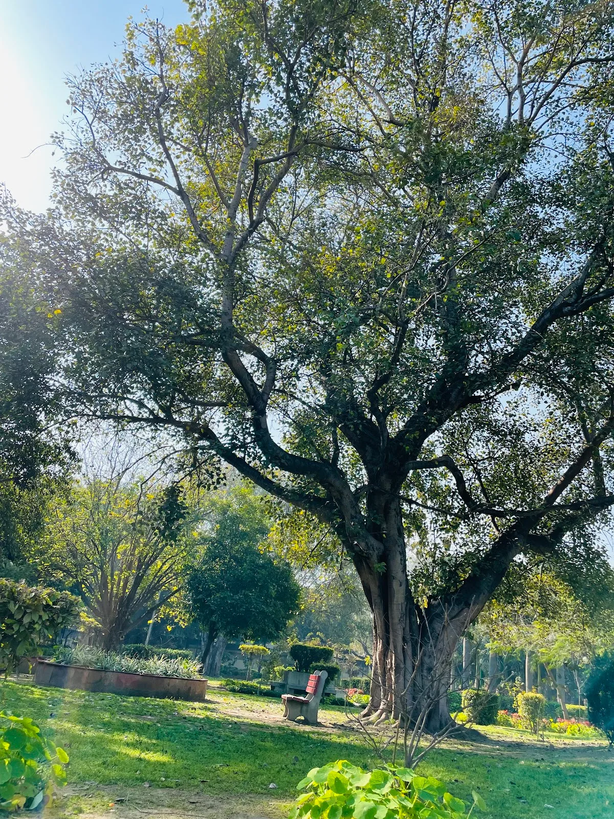 Tabela Park