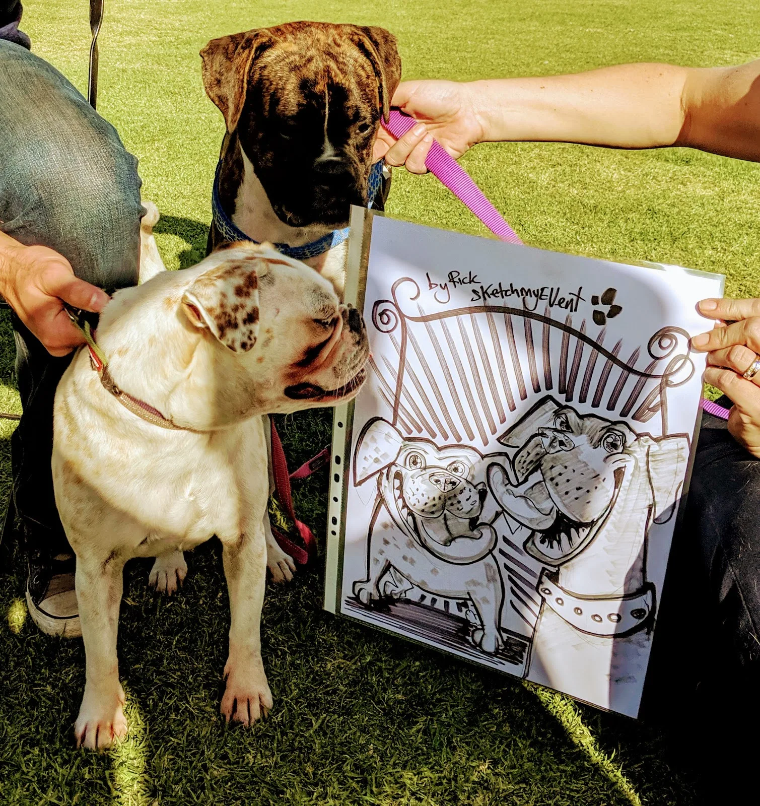 RSPCA WA