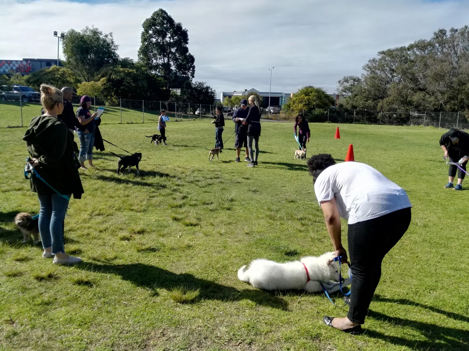 RSPCA WA