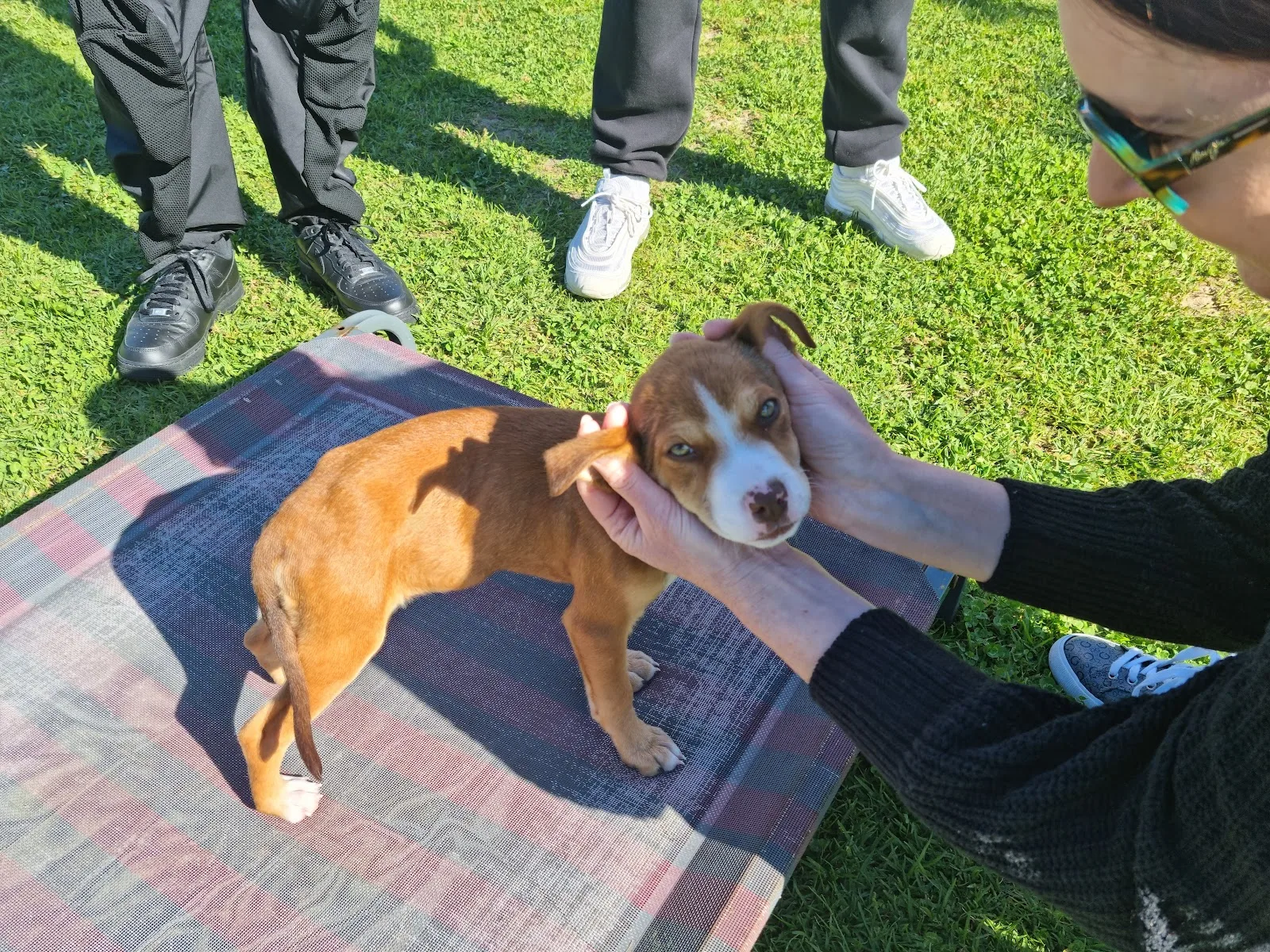 RSPCA WA