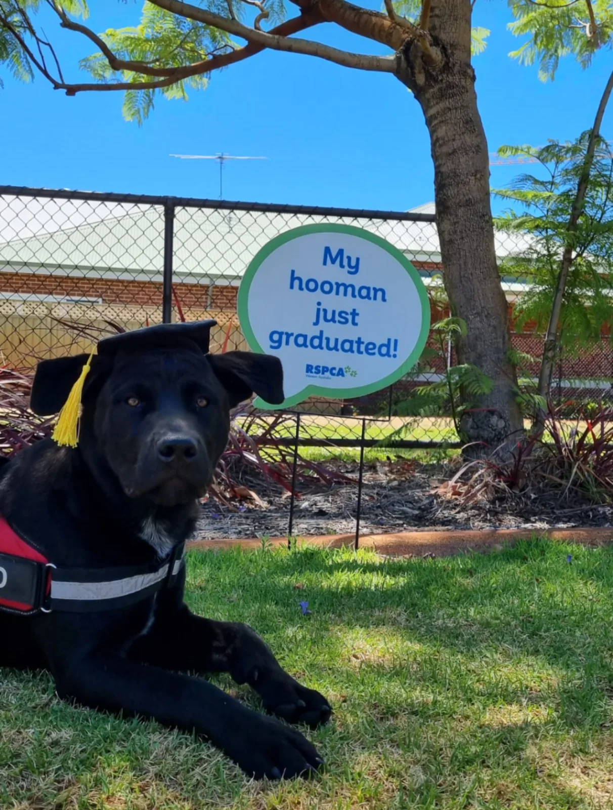 RSPCA WA