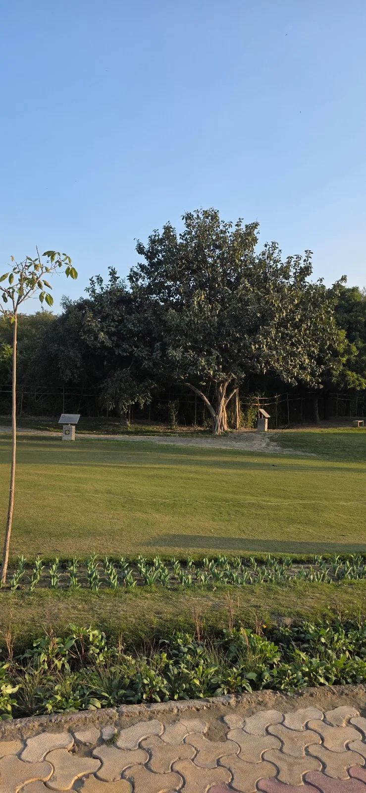 Yamuna Side Park ASITA east