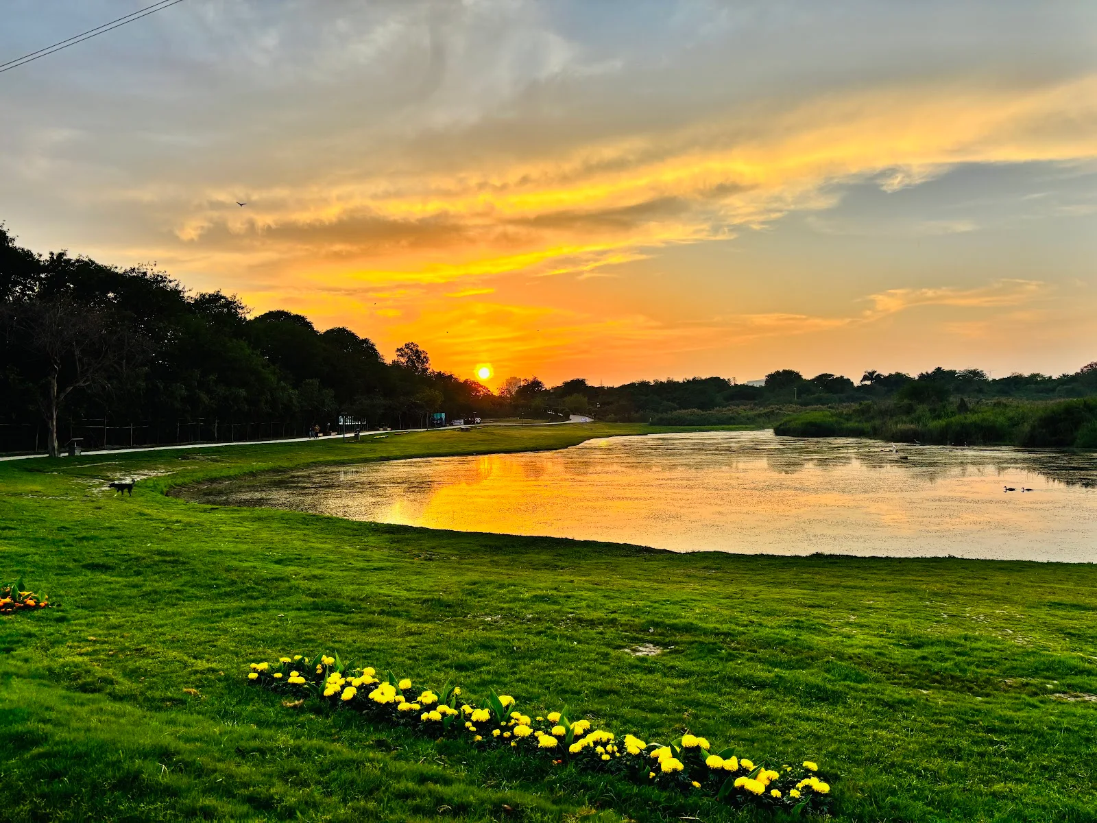 Yamuna Side Park ASITA east