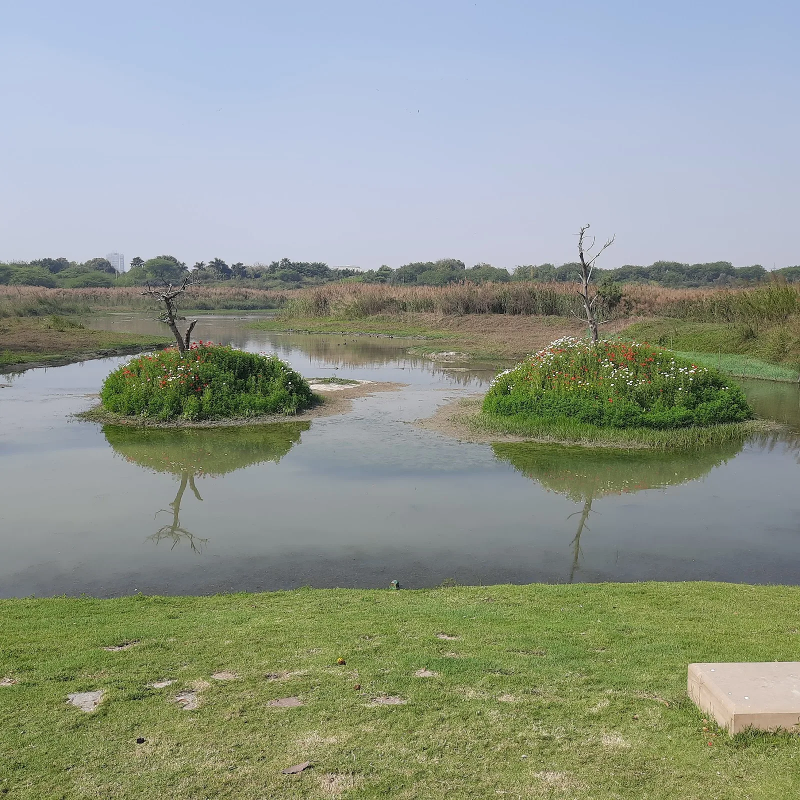 Yamuna Side Park ASITA east