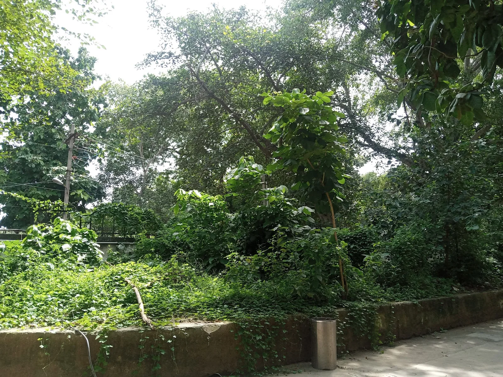 Office of Dy Labour Commissioner ( Central District)