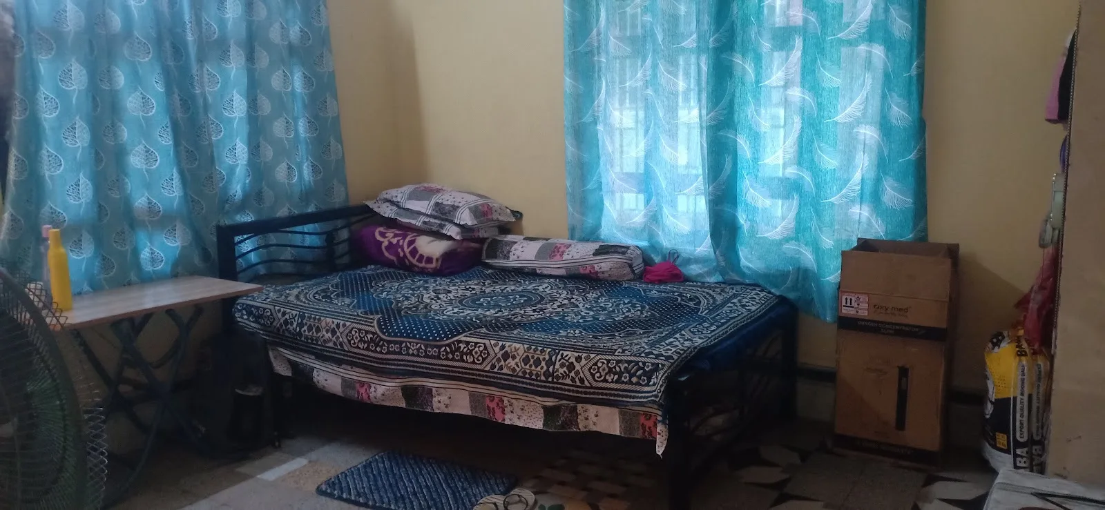 Gitaneer Vridhabas