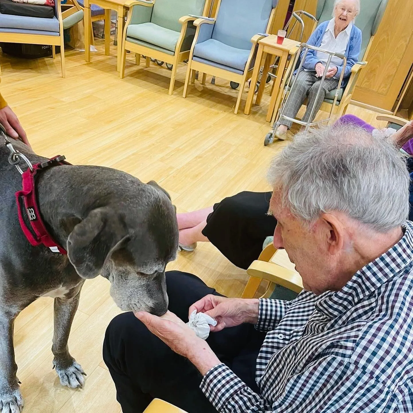 Digby Manor Care Home