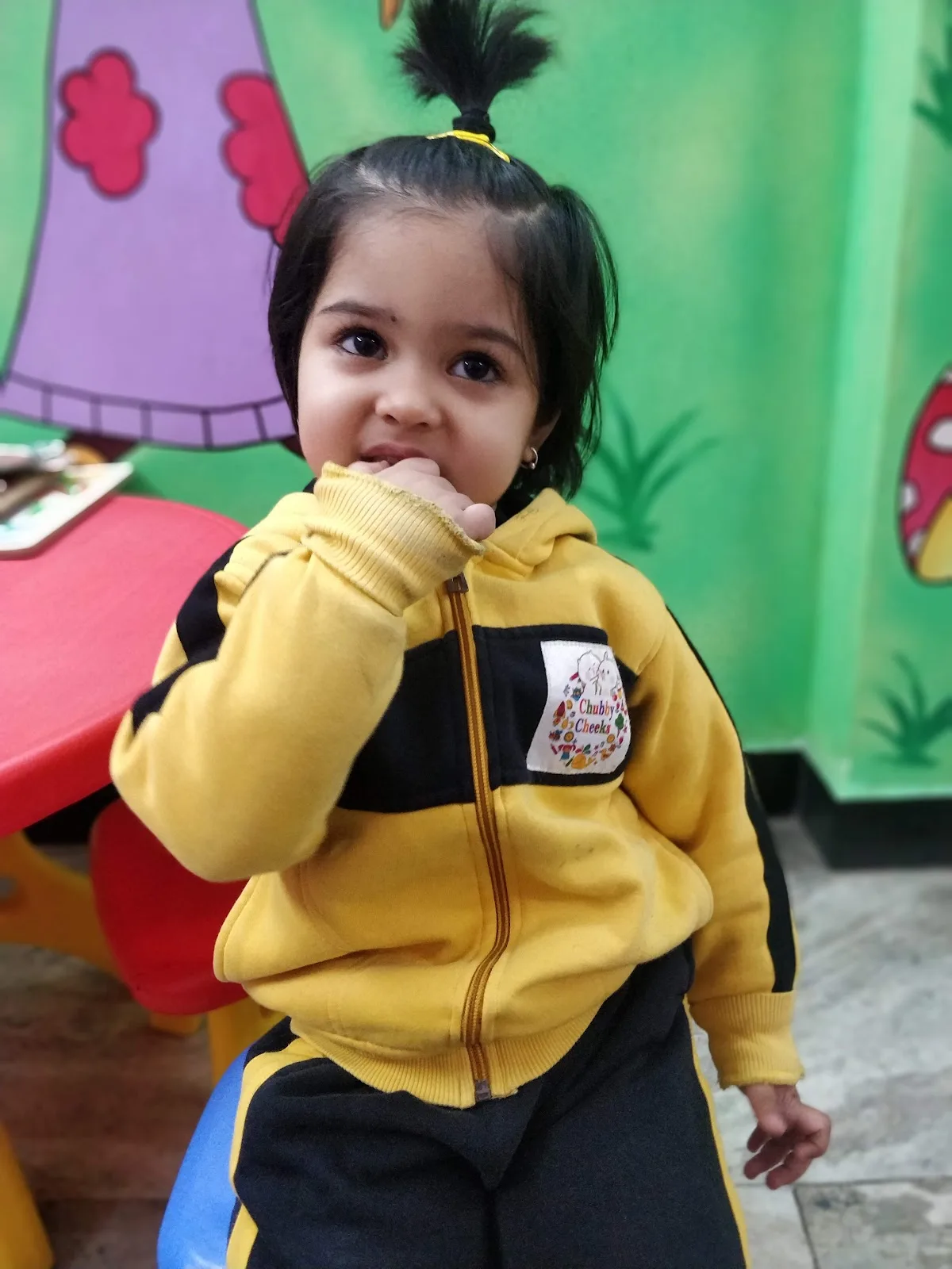 Chubby cheeks play school - Best Play School in Daryaganj