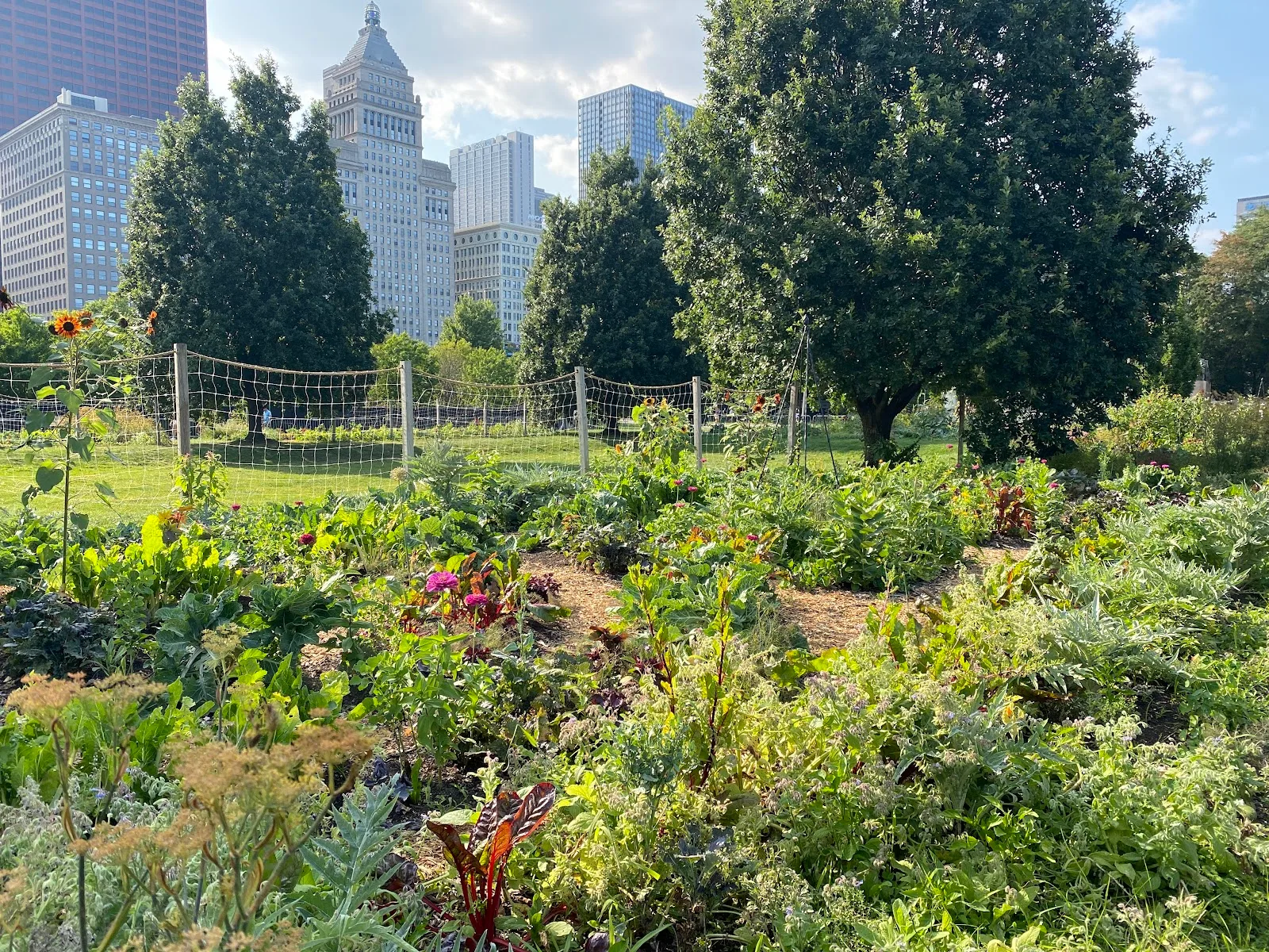 Art on the Farm, Urban Growers Collective