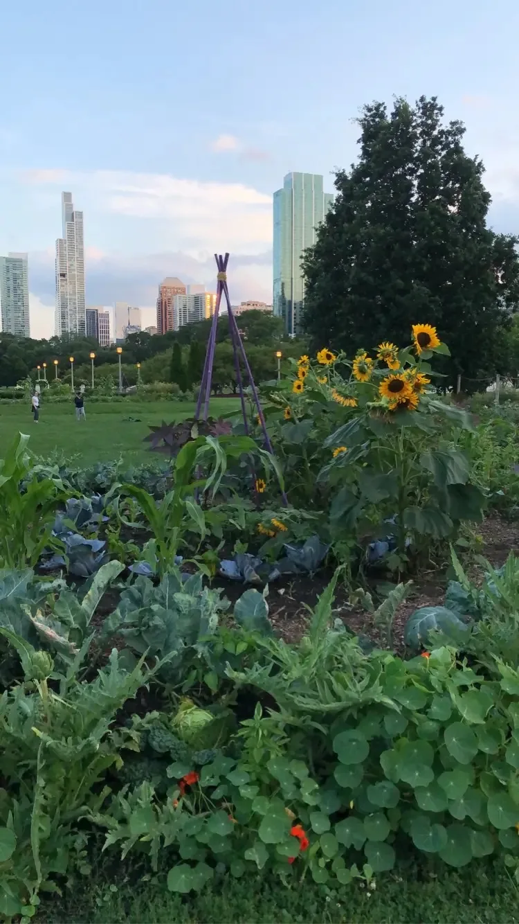 Art on the Farm, Urban Growers Collective
