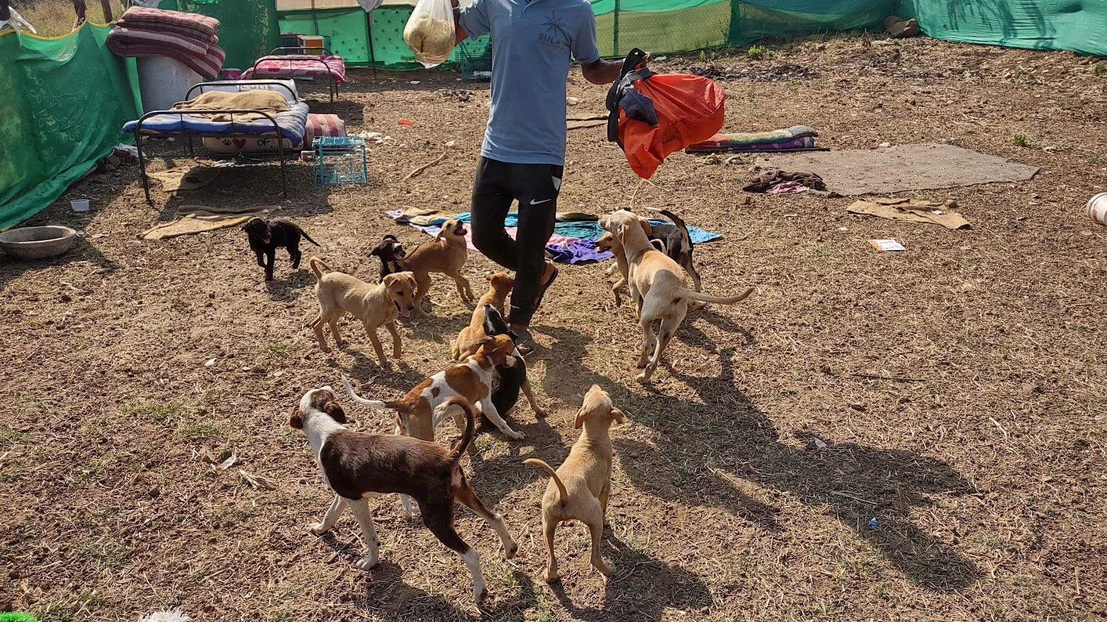 Bhutdaya Foundation