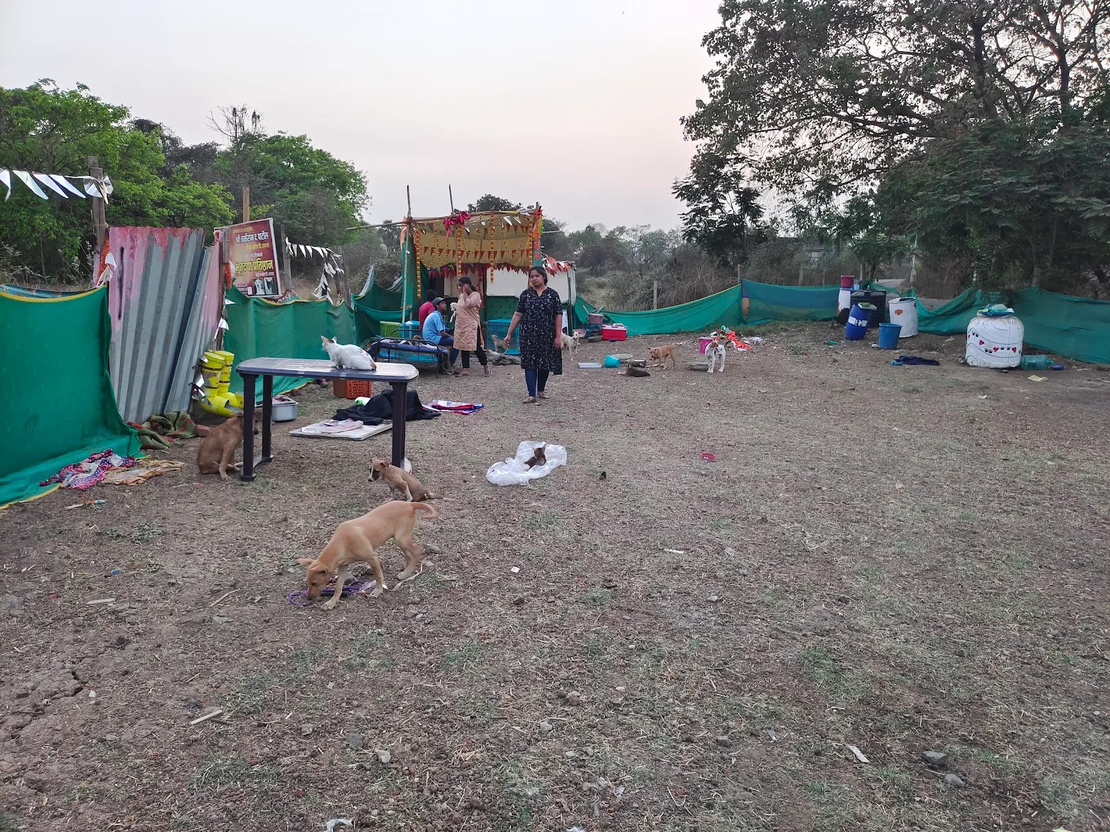 Bhutdaya Foundation