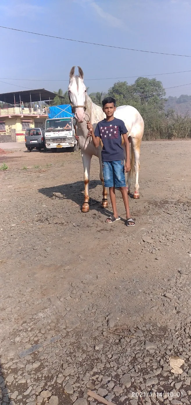 Shivam Patil