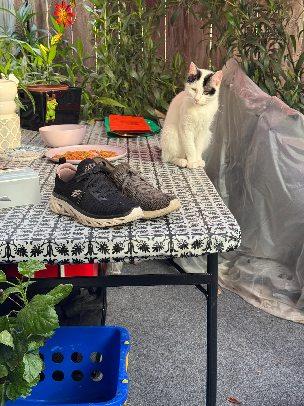 Houston Cares Animal Rescue