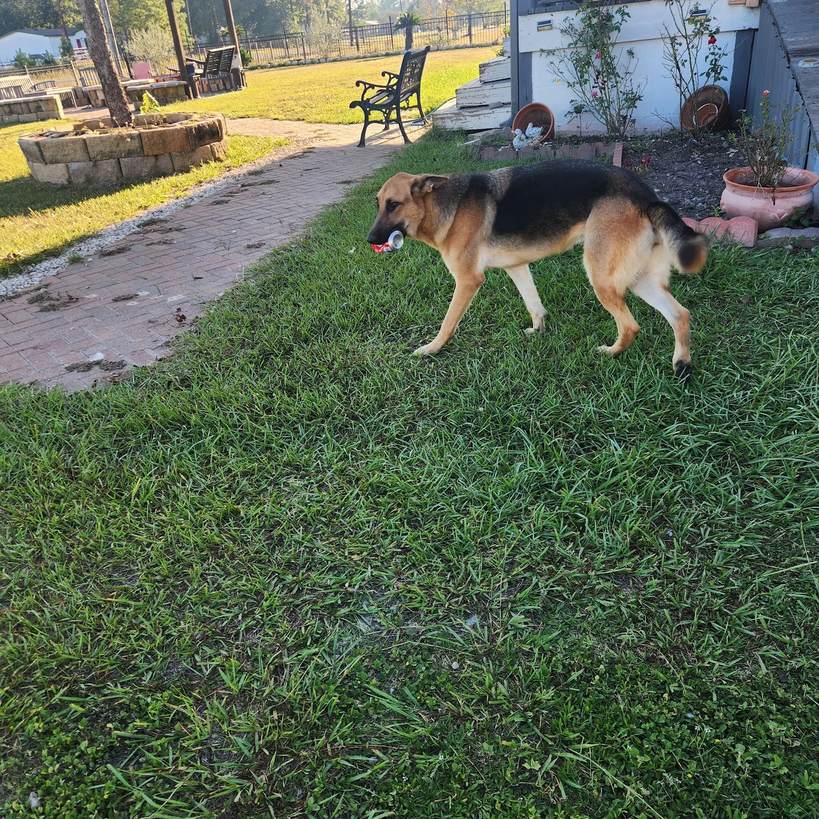 Houston Cares Animal Rescue
