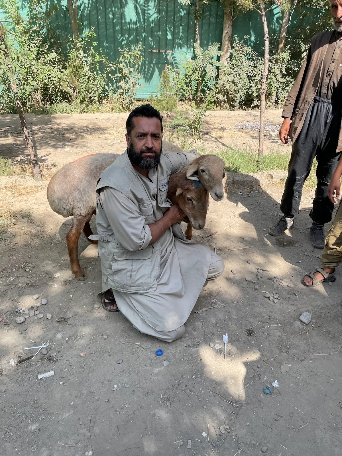 Siddiqi Foundation Hilfsorganisation e.V.