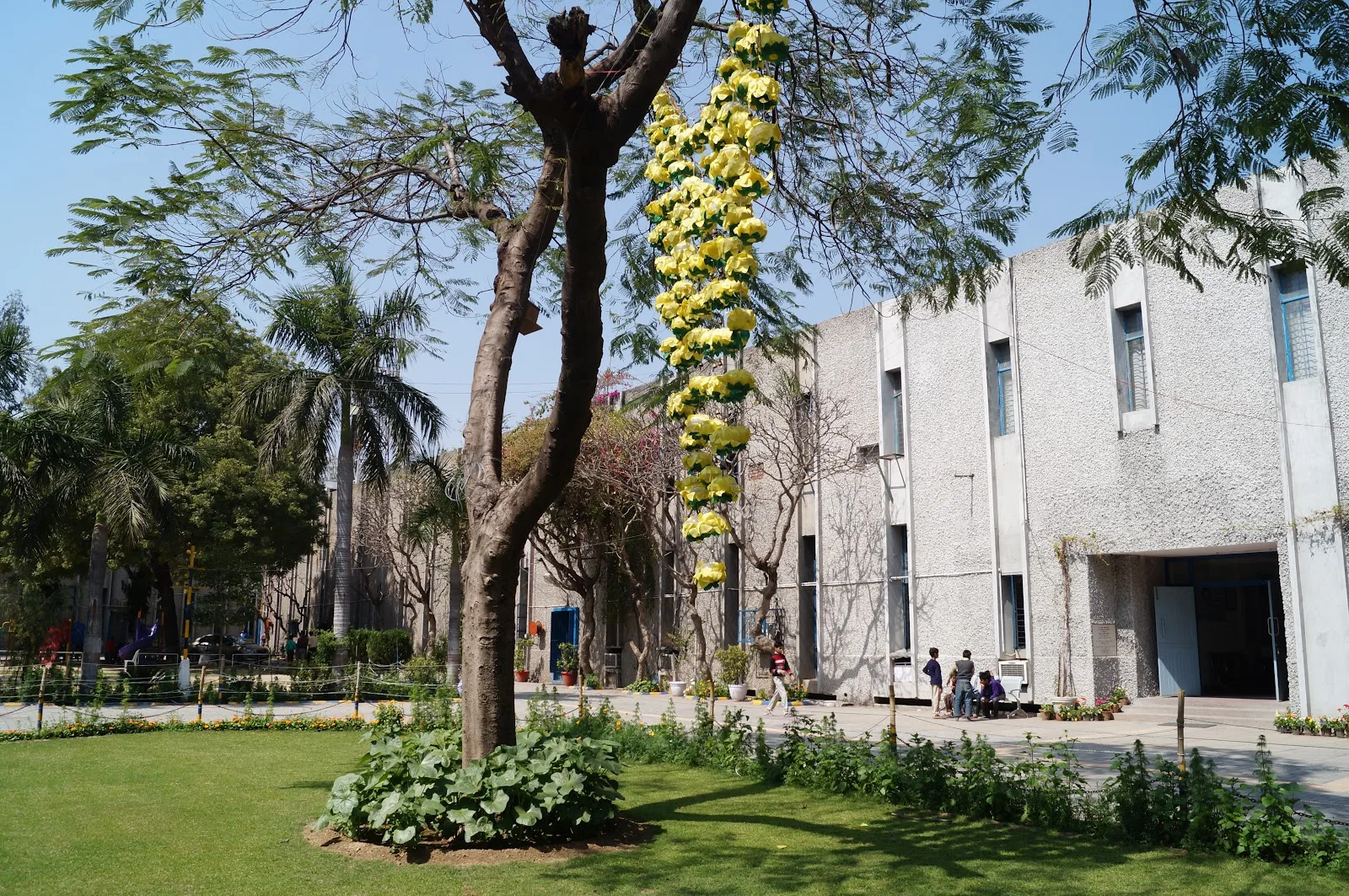 The Blind Relief Association, Delhi