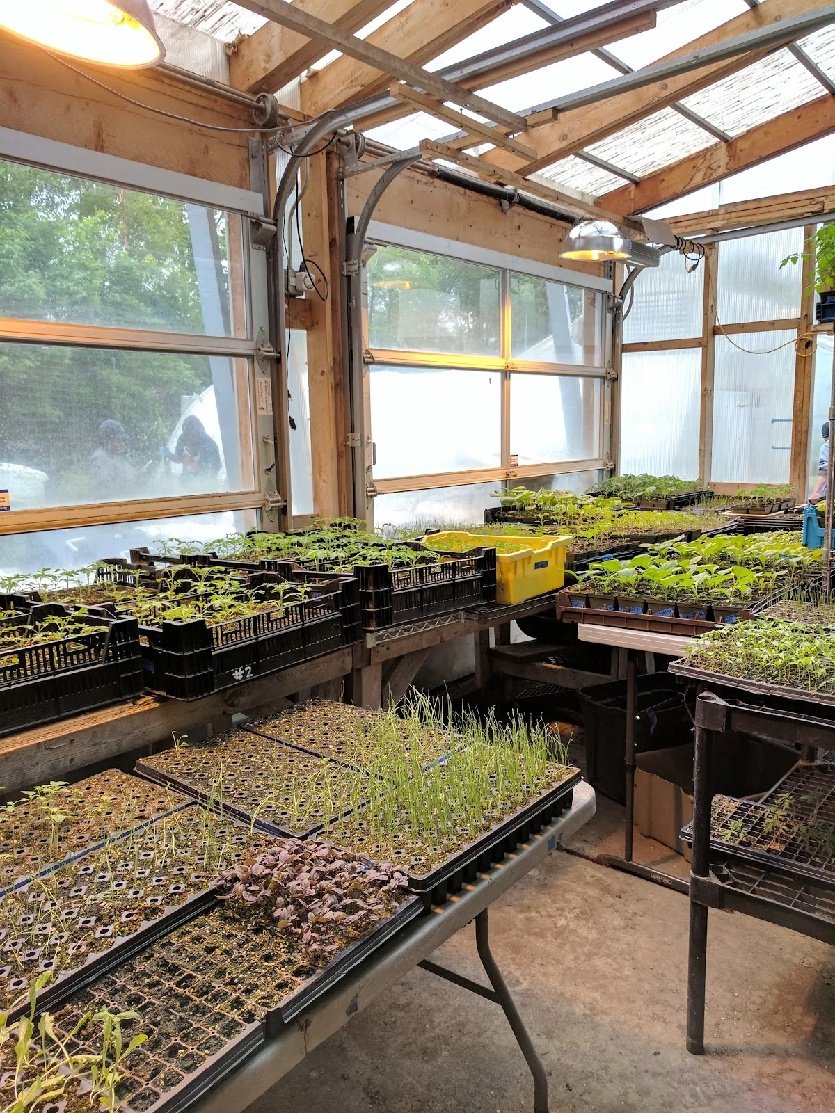 Growing Home Urban Farm