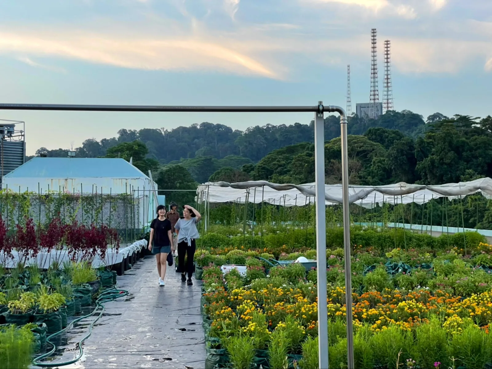 wethefarm