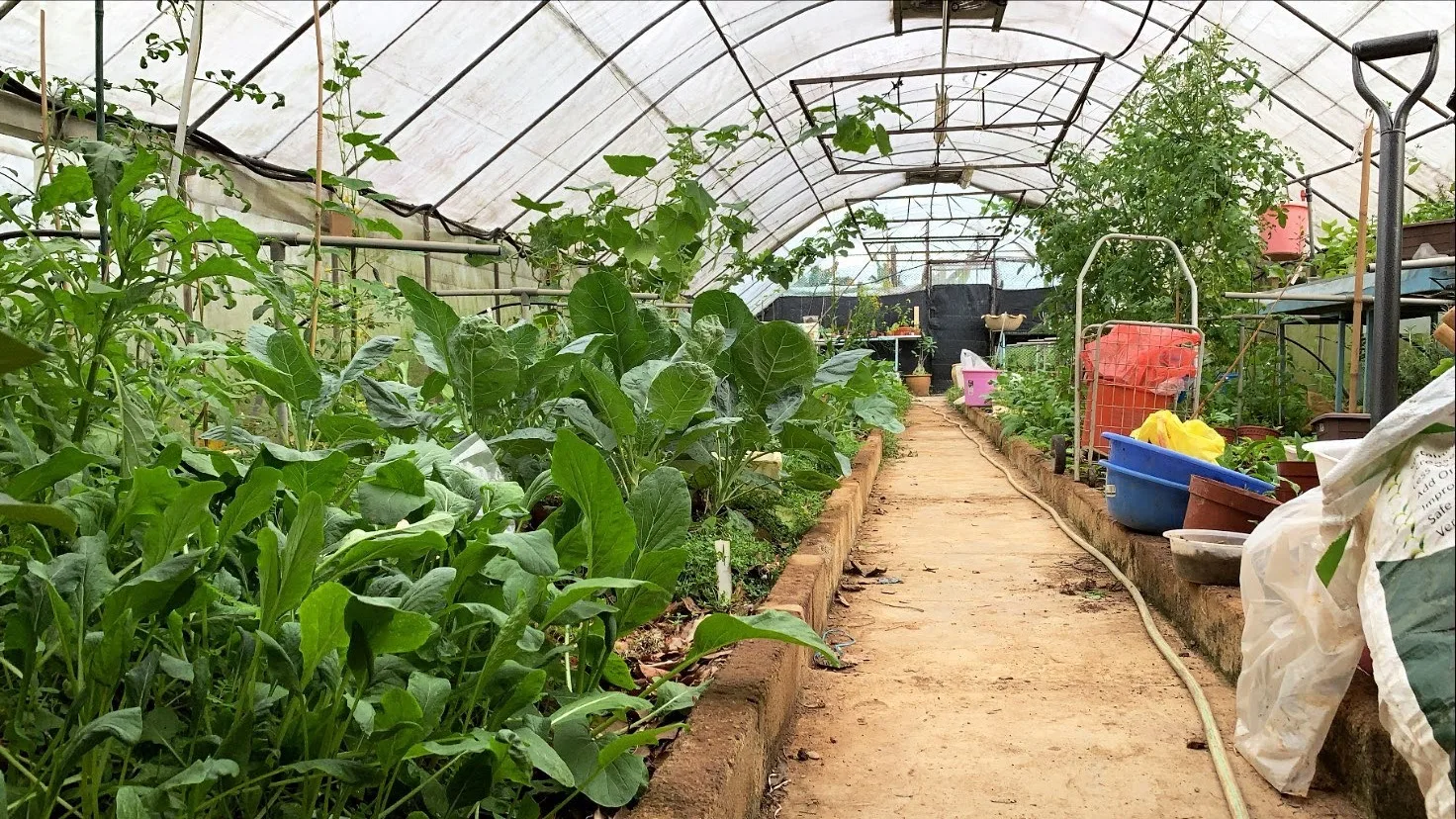 wethefarm