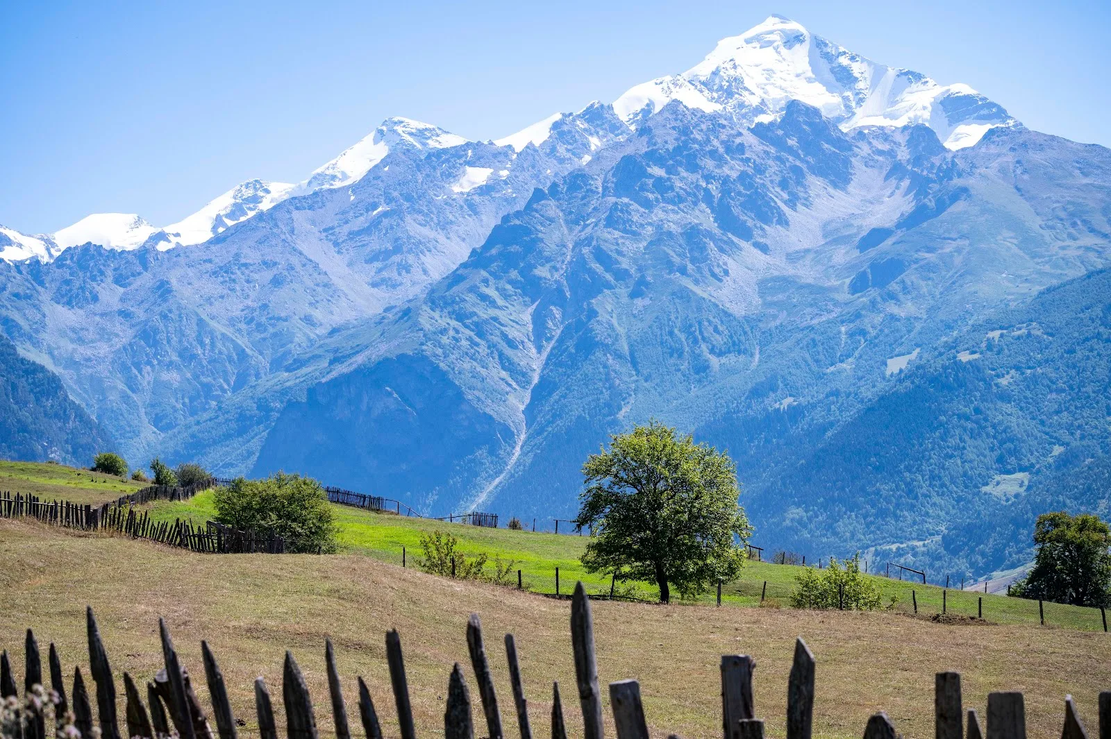 Austrian Society for Disaster Risk Reduction (ASDRR)