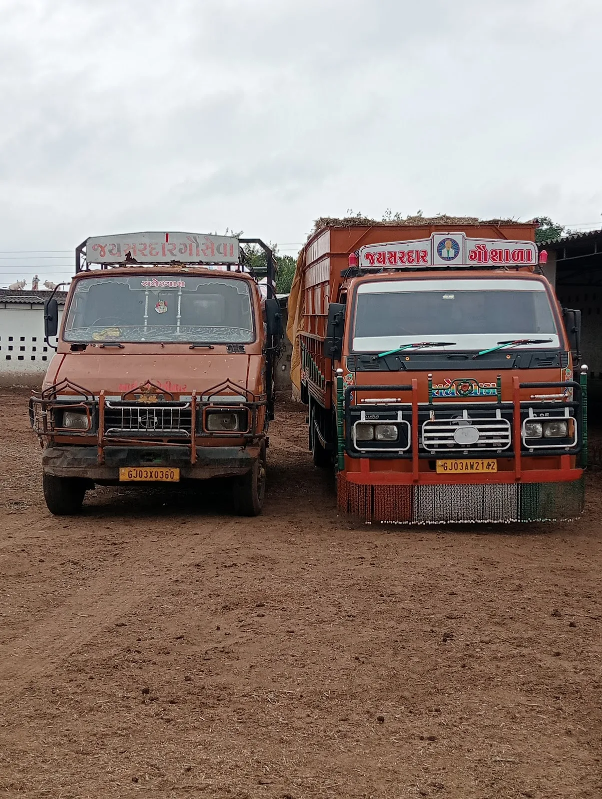 Jay Sardar Gau Seva Samaj Trust