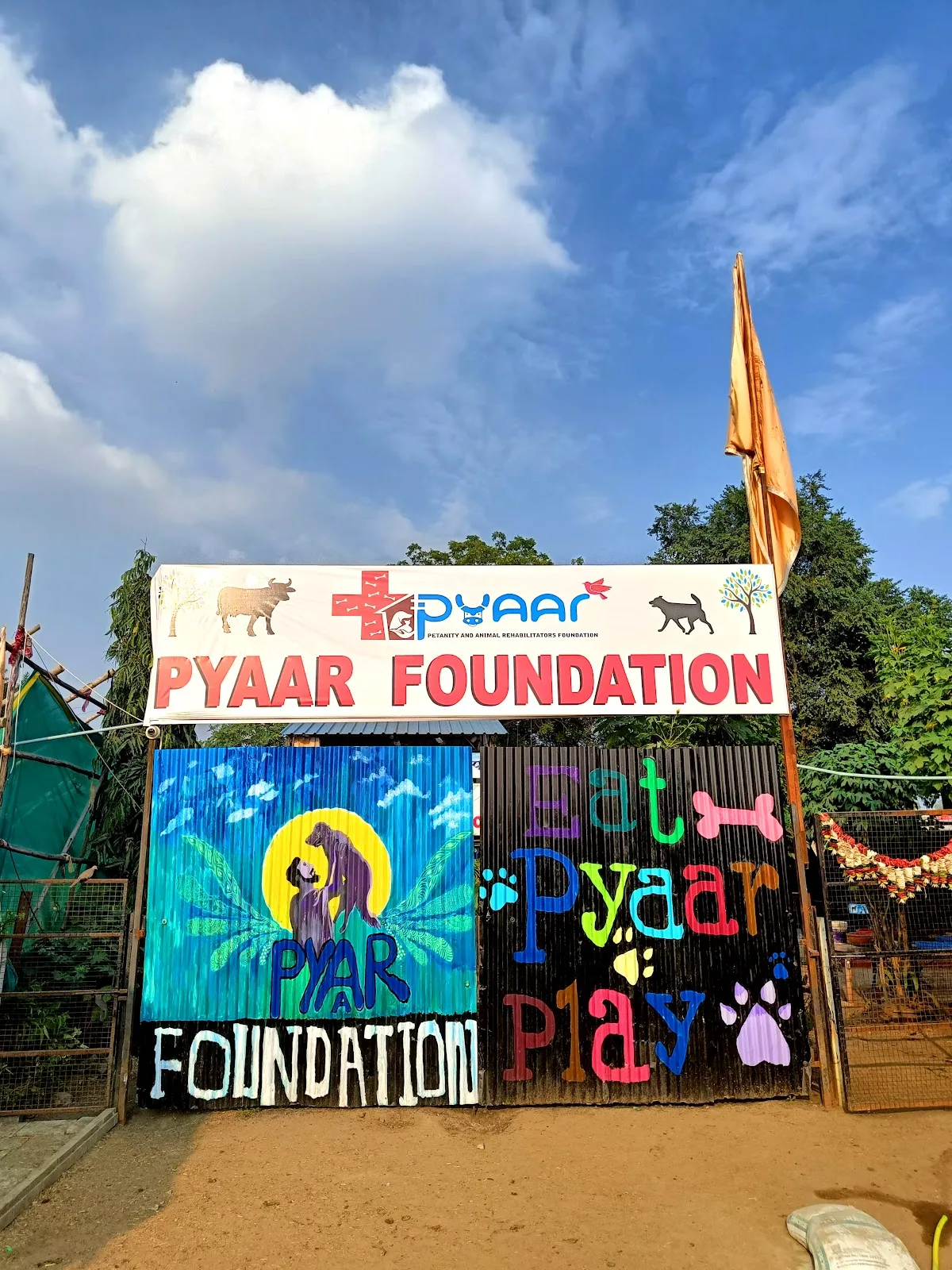 Pyaar Foundation Animal welfare NGO & shelter chandrapur